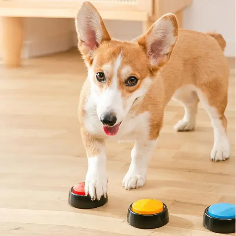 2026 Recordable Talking Pet Bu - Event Party Box 评论和价格